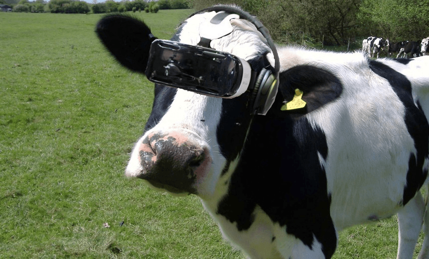 cowvr