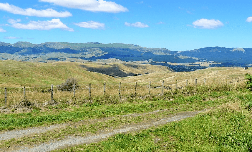 What it’s like to grow up poor in New Zealand