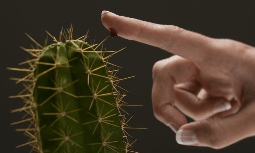 Careful what you poke. Photo: Rubberball/Getty 
