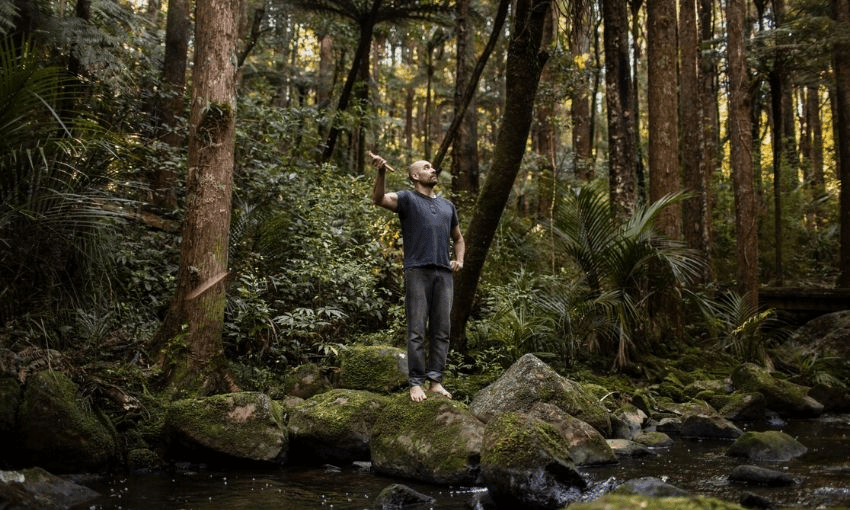 Kelly Kahukiwa, of Whakaue Pataheuheu and Te Aitanga a Makaki iwi, holding a pūrerehua in the shade of kauri trees. A.H. Reed Memorial Park, Whangārei. 
(This image has been slightly cropped) (Photo: Michelle Hyslop) 
