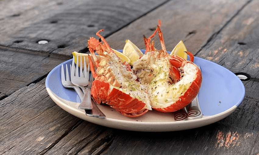 Crayfish for breakfast in Kaikōura (Photo: Leisha Jones) 
