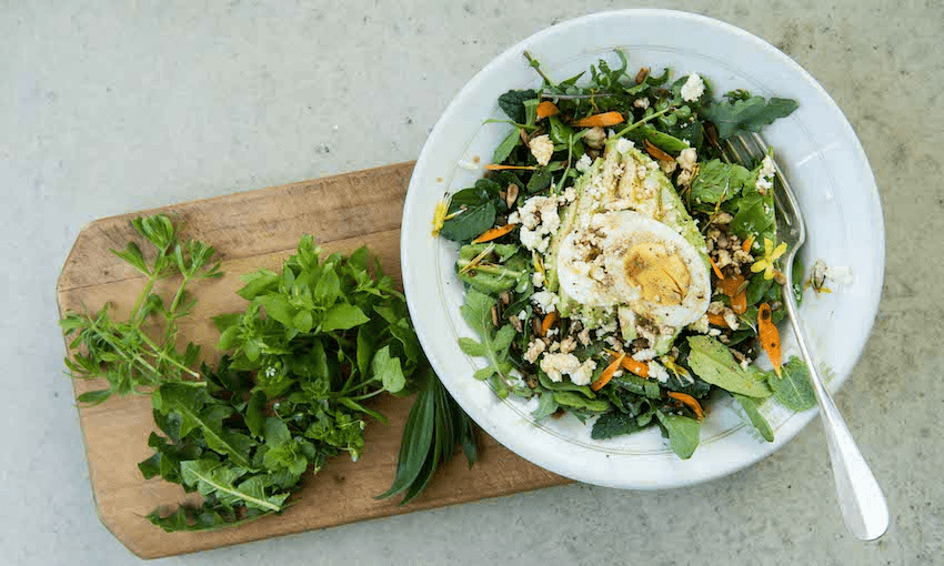 Cleavers, chickweed (with the little white flowers), plantain, speedwell (with the little blue flowers) and dandelion feature in this lovely spring salad (Photo: Emma Boyd) 
