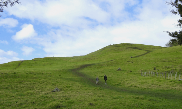 TAURERE/TAYLOR HILL WITH TERRACES VISIBLE ON THE HILLSIDE. (PHOTO: GARETH SHUTE) 
