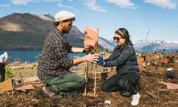 A Trees That Count planting in Queenstown (Photo: Ryan Quirke/Snapt Photography) 
