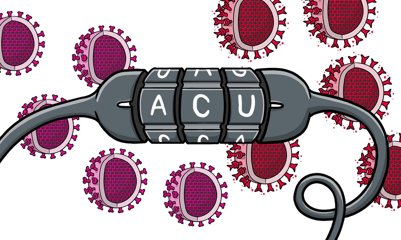 Siouxsie Wiles & Toby Morris: How worried should we be about the new Covid-19 mutations?