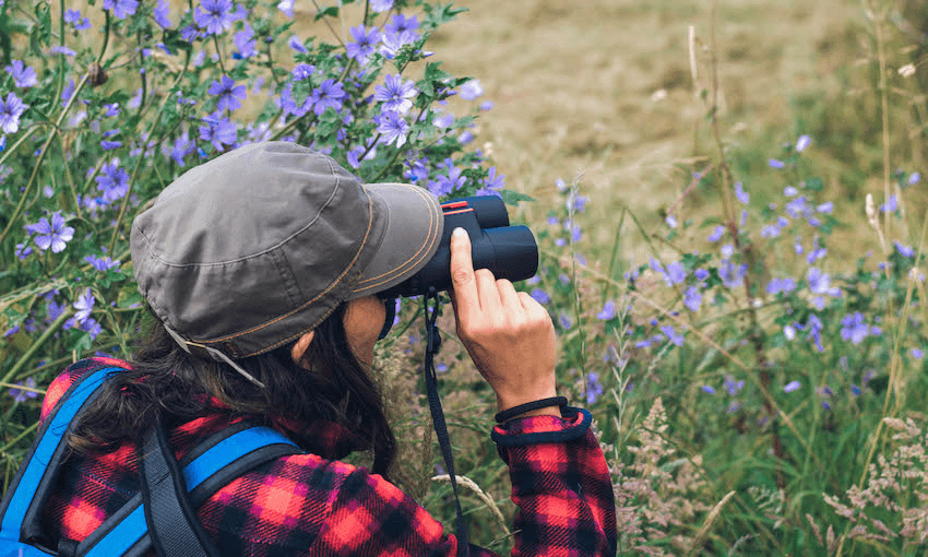 tourist looking through binoculars