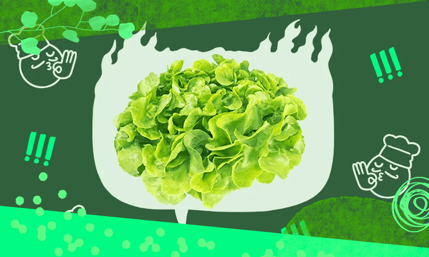 A cluster of fresh green lettuce is centered against a dark green background with a lighter green speech bubble shape behind it. Surrounding the speech bubble are illustrations of chef faces making "OK" hand gestures and green exclamation marks.