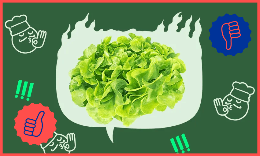 A cluster of fresh green lettuce is centered against a dark green background with a lighter green speech bubble shape behind it. Surrounding the speech bubble are illustrations of chef faces making "OK" hand gestures and green exclamation marks.