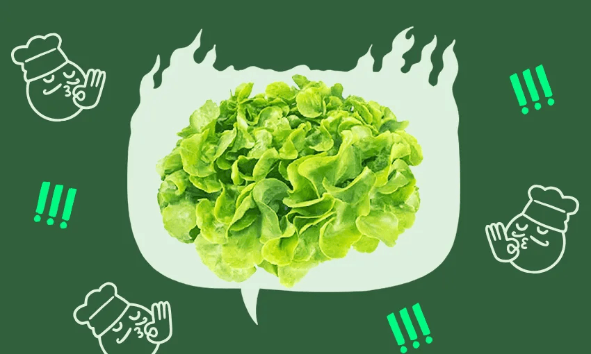 A cluster of fresh green lettuce is centered against a dark green background with a lighter green speech bubble shape behind it. Surrounding the speech bubble are illustrations of chef faces making "OK" hand gestures and green exclamation marks.